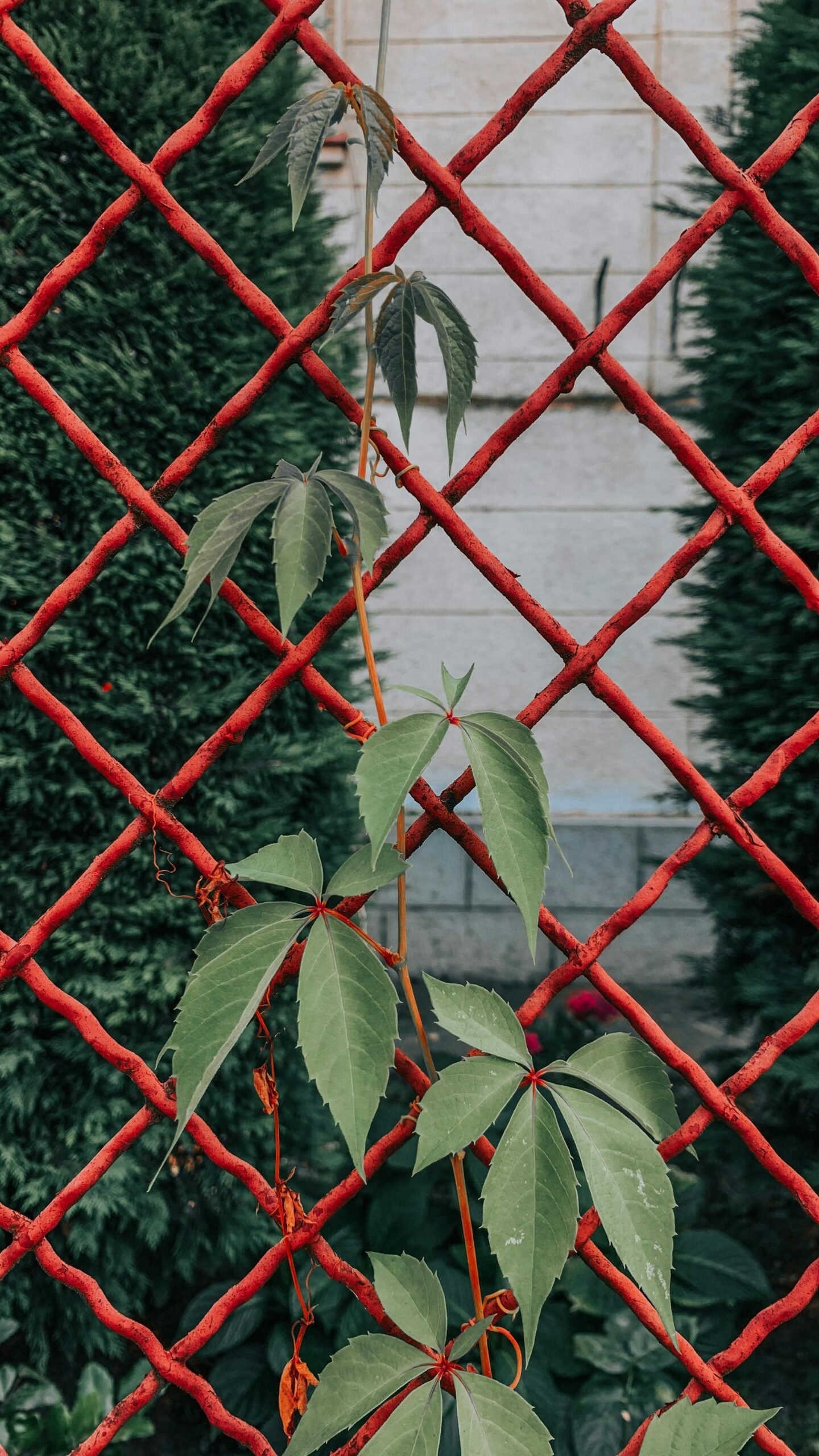Common Garden Fence Problems and How to Fix Them