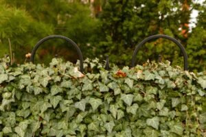 Garden Fencing Wakefield