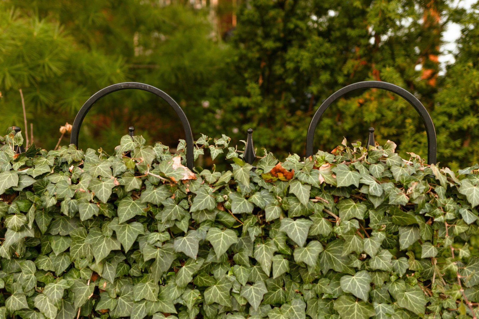 Garden Fence Installation Wakefield